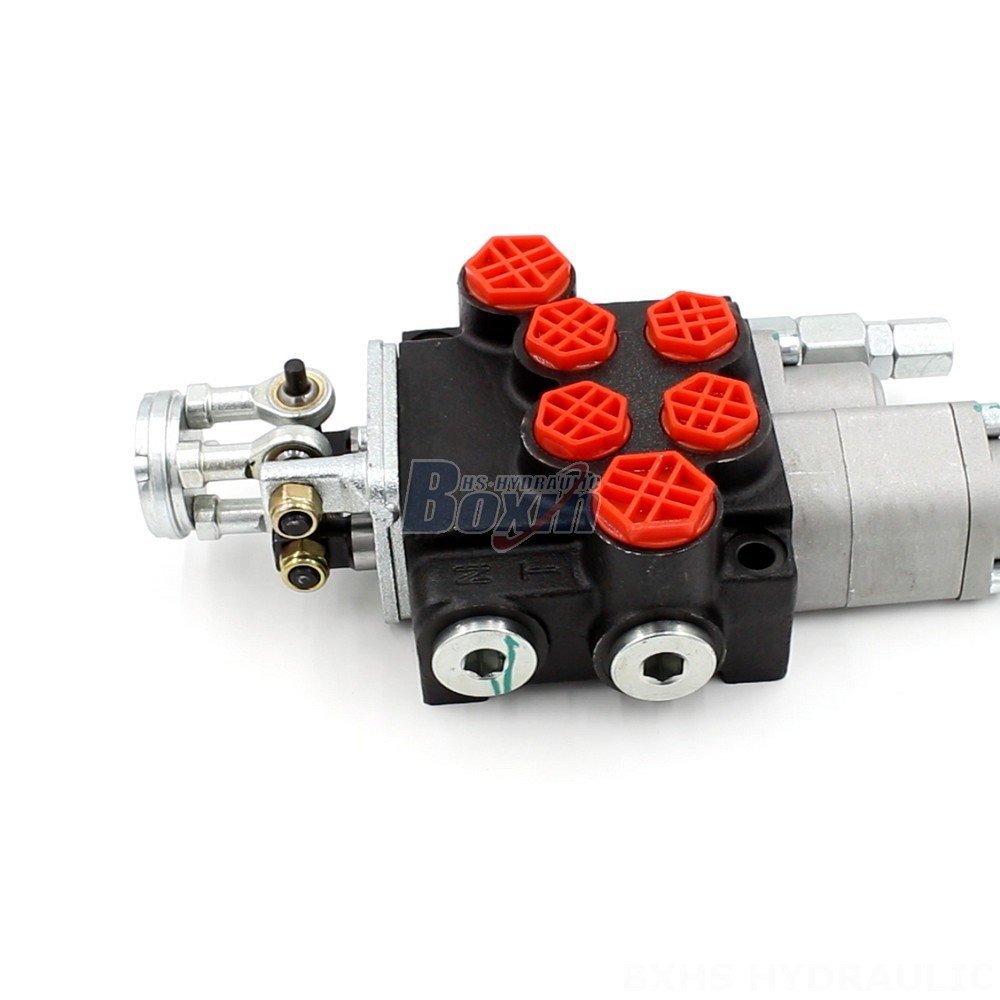 P40-G12-G38-OT-QTW 2-Spool Hydraulic Directional Valve | Factory Direct & Customizable main image